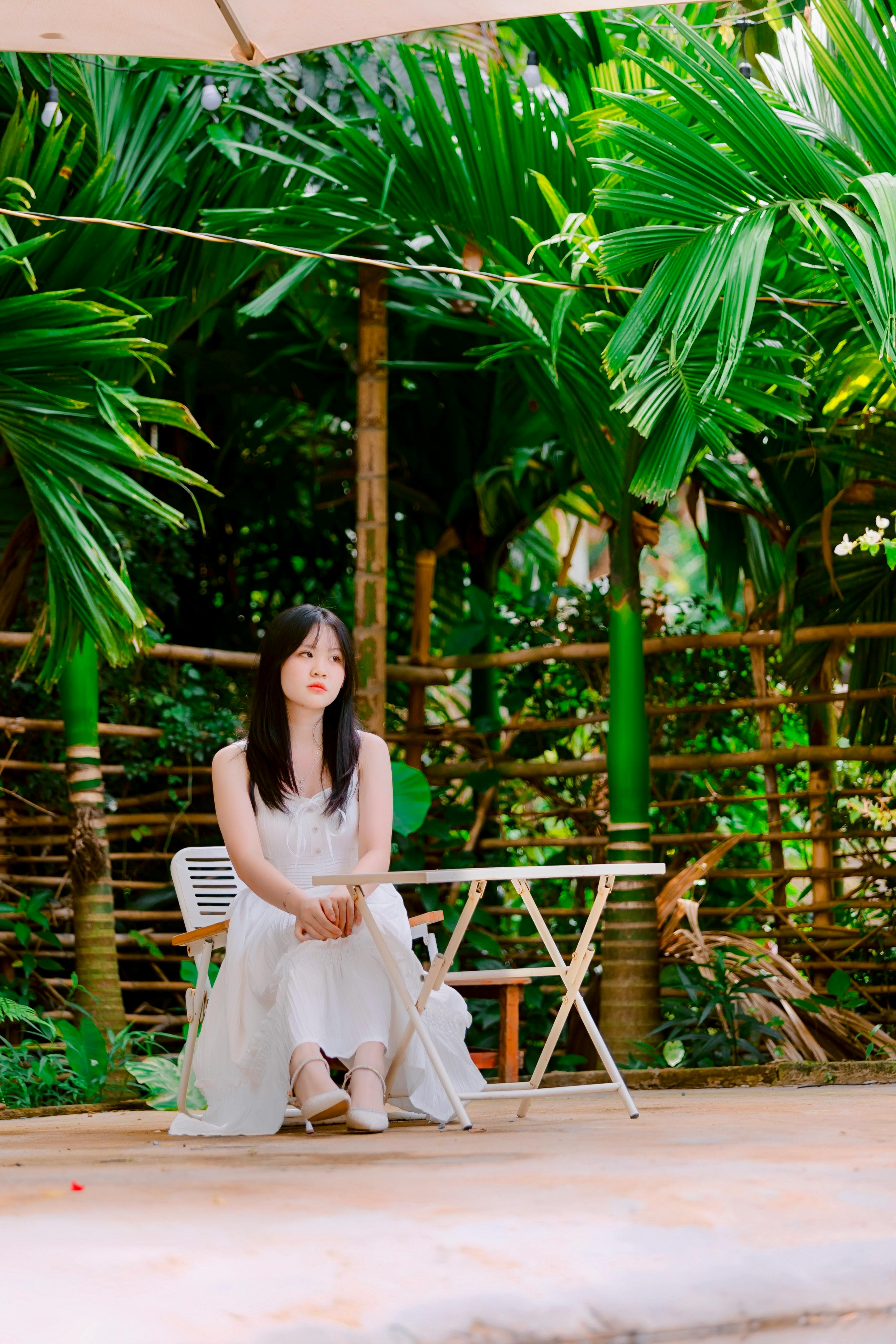 视觉参考：Nguyễn Tiến Thịnh