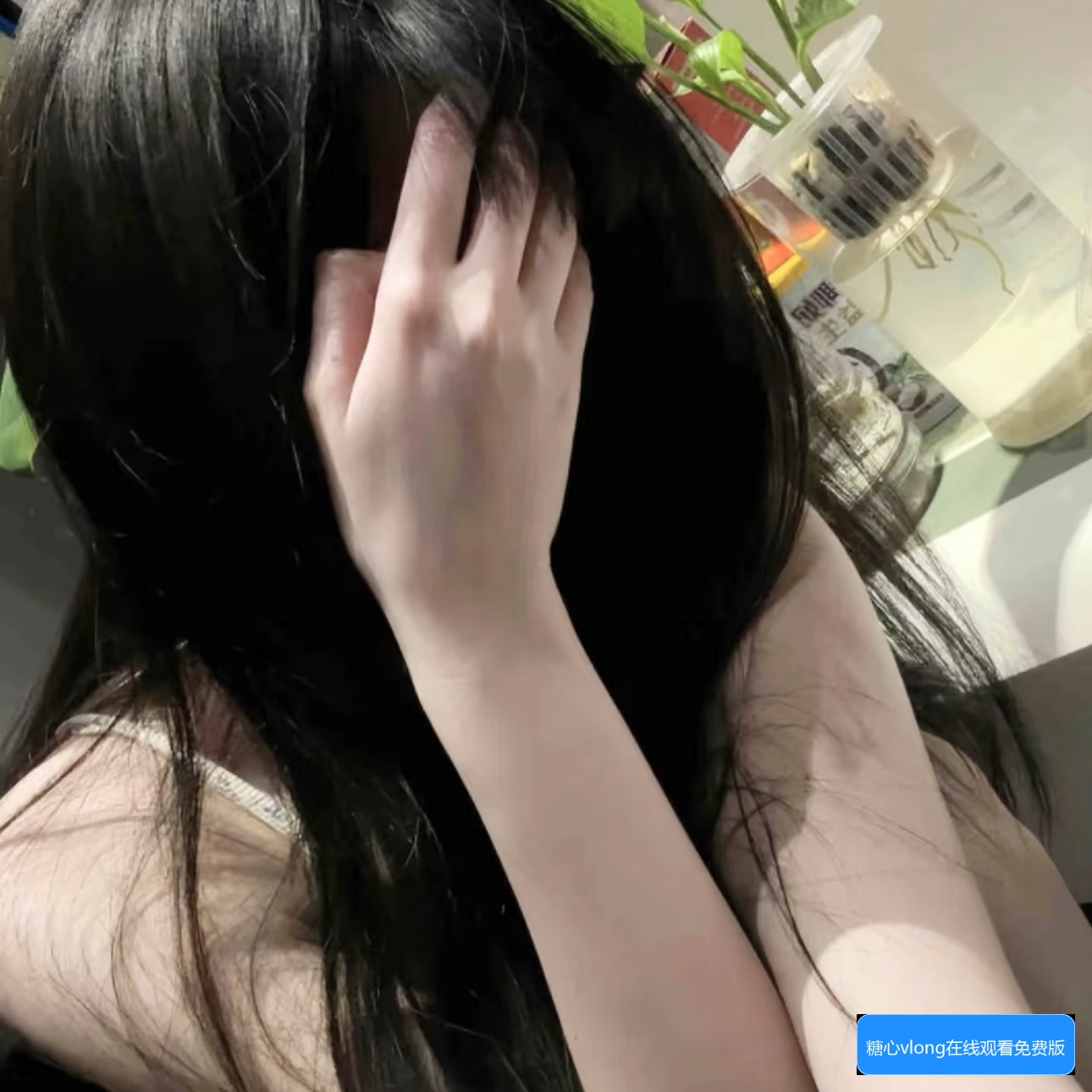 糖心vlong在线观看免费版