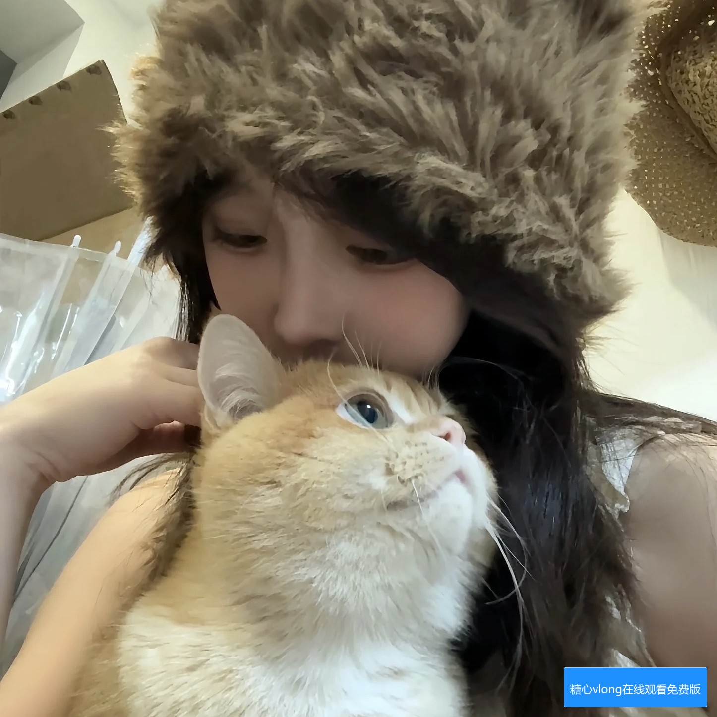 糖心vlong在线观看免费版国语版有哪些观看方式和注意事项