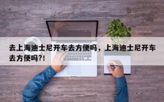 去上海迪士尼开车去方便吗，上海迪士尼开车去方便吗?！