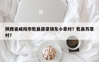 陕西省咸阳市乾县薛录镇东小章村？乾县苏章村？