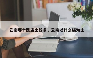 云南哪个民族比较多，云南以什么族为主