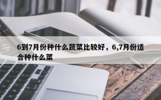 6到7月份种什么蔬菜比较好，6,7月份适合种什么菜