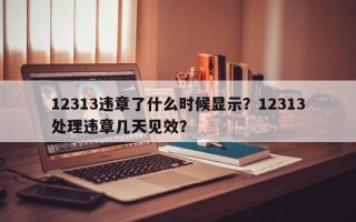 12313违章了什么时候显示？12313处理违章几天见效？