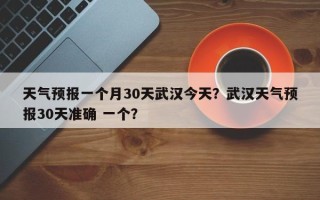 天气预报一个月30天武汉今天？武汉天气预报30天准确 一个？