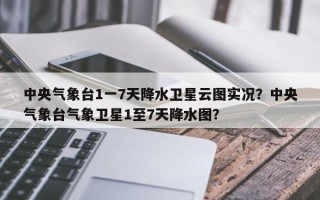 中央气象台1一7天降水卫星云图实况？中央气象台气象卫星1至7天降水图？