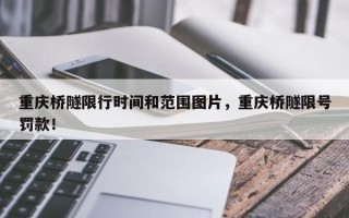 重庆桥隧限行时间和范围图片，重庆桥隧限号罚款！