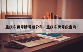 重庆车辆号牌号段公布，重庆车牌号段查询！