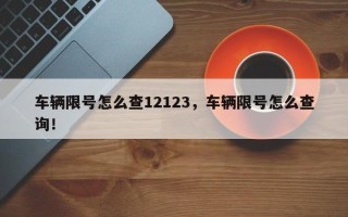 车辆限号怎么查12123，车辆限号怎么查询！