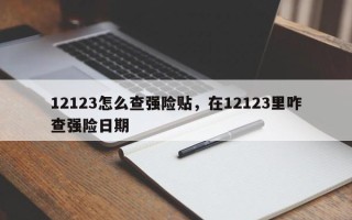 12123怎么查强险贴，在12123里咋查强险日期