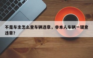 不是车主怎么查车辆违章，非本人车辆一键查违章？