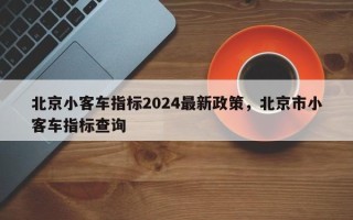 北京小客车指标2024最新政策，北京市小客车指标查询