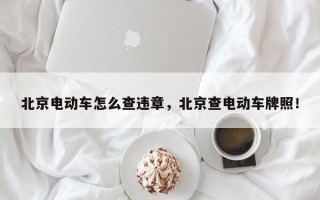 北京电动车怎么查违章，北京查电动车牌照！