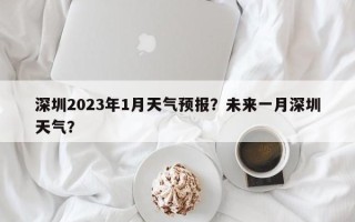 深圳2023年1月天气预报？未来一月深圳天气？