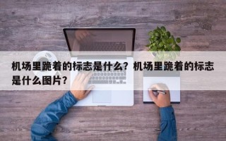 机场里跪着的标志是什么？机场里跪着的标志是什么图片？