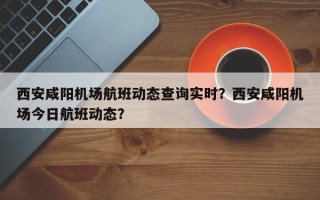 西安咸阳机场航班动态查询实时？西安咸阳机场今日航班动态？