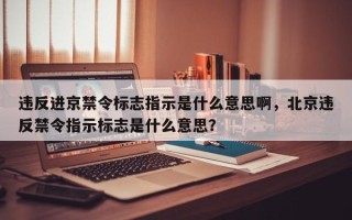 违反进京禁令标志指示是什么意思啊，北京违反禁令指示标志是什么意思？