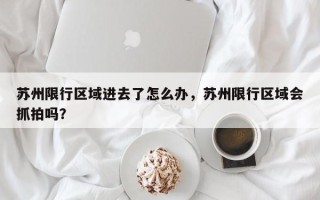 苏州限行区域进去了怎么办，苏州限行区域会抓拍吗？