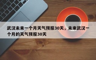 武汉未来一个月天气预报30天，未来武汉一个月的天气预报30天