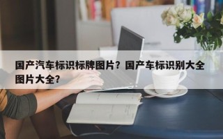 国产汽车标识标牌图片？国产车标识别大全 图片大全？