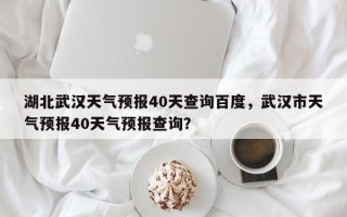 湖北武汉天气预报40天查询百度，武汉市天气预报40天气预报查询？