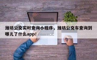 潍坊公交实时查询小程序，潍坊公交车查询到哪儿了什么app！