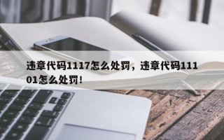 违章代码1117怎么处罚，违章代码11101怎么处罚！