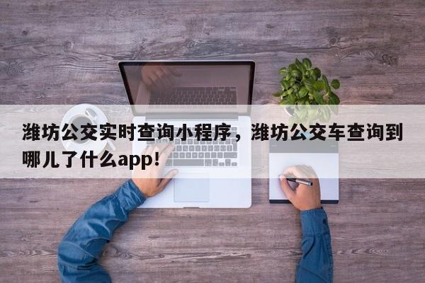 潍坊公交实时查询小程序，潍坊公交车查询到哪儿了什么app！-第1张图片-乐享生活