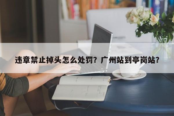 违章禁止掉头怎么处罚？广州站到亭岗站？-第1张图片-乐享生活