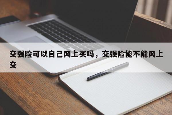 交强险可以自己网上买吗，交强险能不能网上交-第1张图片-乐享生活