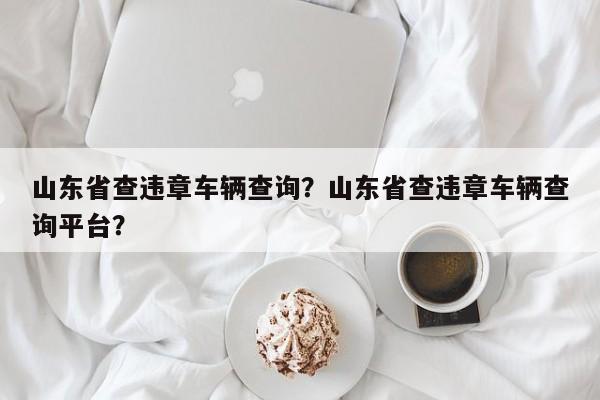 山东省查违章车辆查询？山东省查违章车辆查询平台？-第1张图片-乐享生活