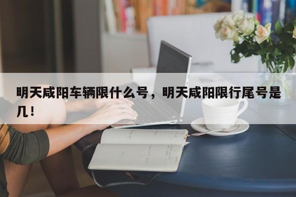 明天咸阳车辆限什么号，明天咸阳限行尾号是几！-第1张图片-乐享生活