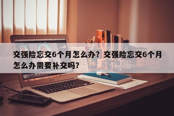 交强险忘交6个月怎么办？交强险忘交6个月怎么办需要补交吗？-第1张图片-乐享生活