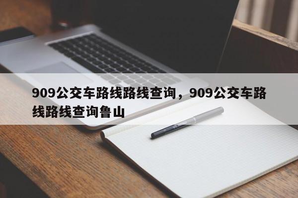 909公交车路线路线查询，909公交车路线路线查询鲁山-第1张图片-乐享生活